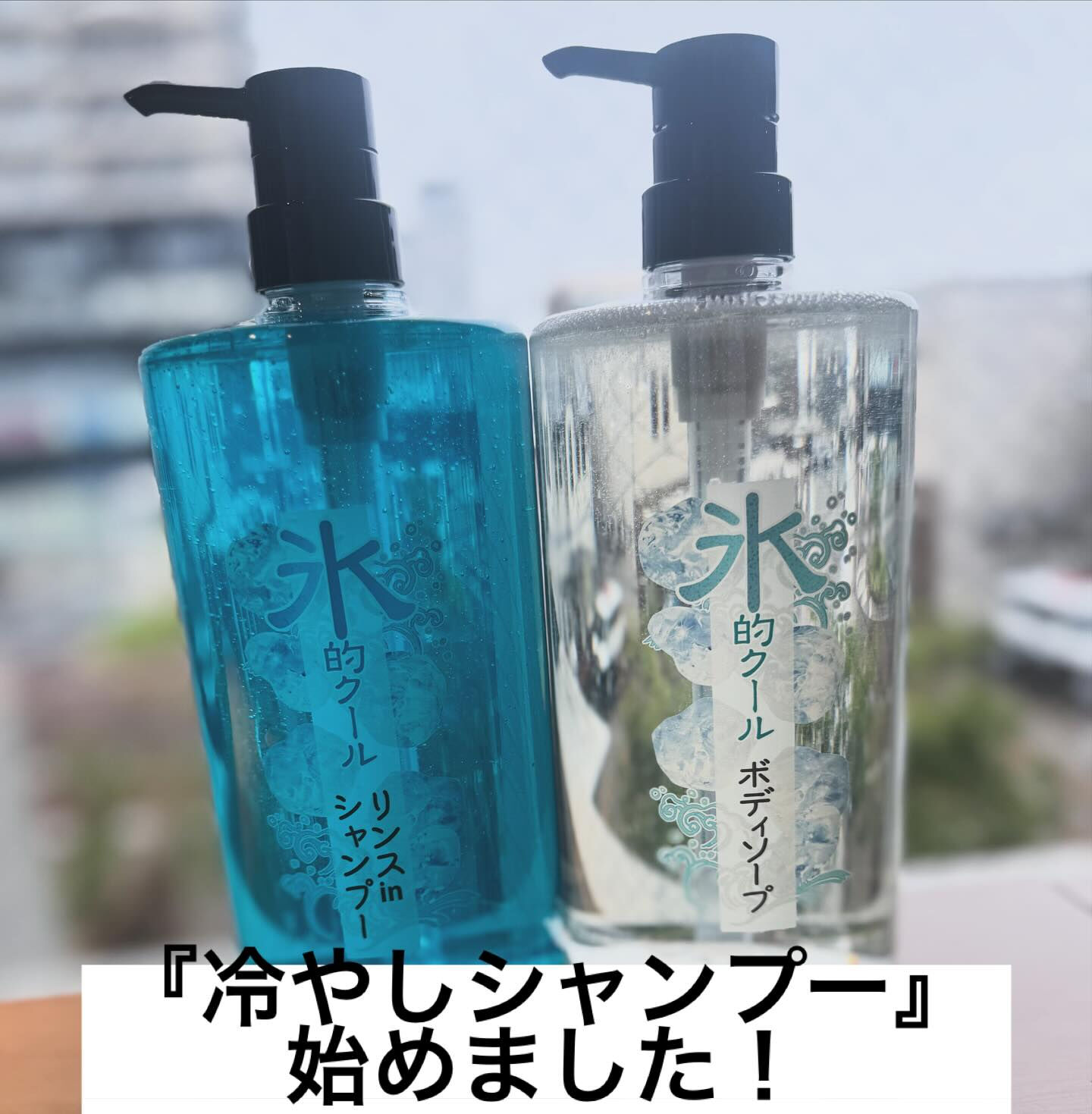 クールな男のクールなシャンプー🆒